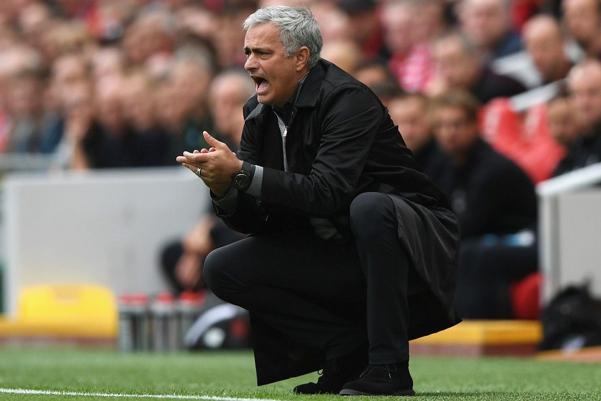 Yabo-猛龙队的主场