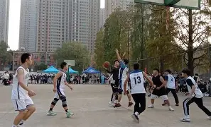 官方网站-黄金球阵容